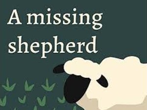 A Missing Shepherd Game Guide: Tips, Walkthrough, and Strategies