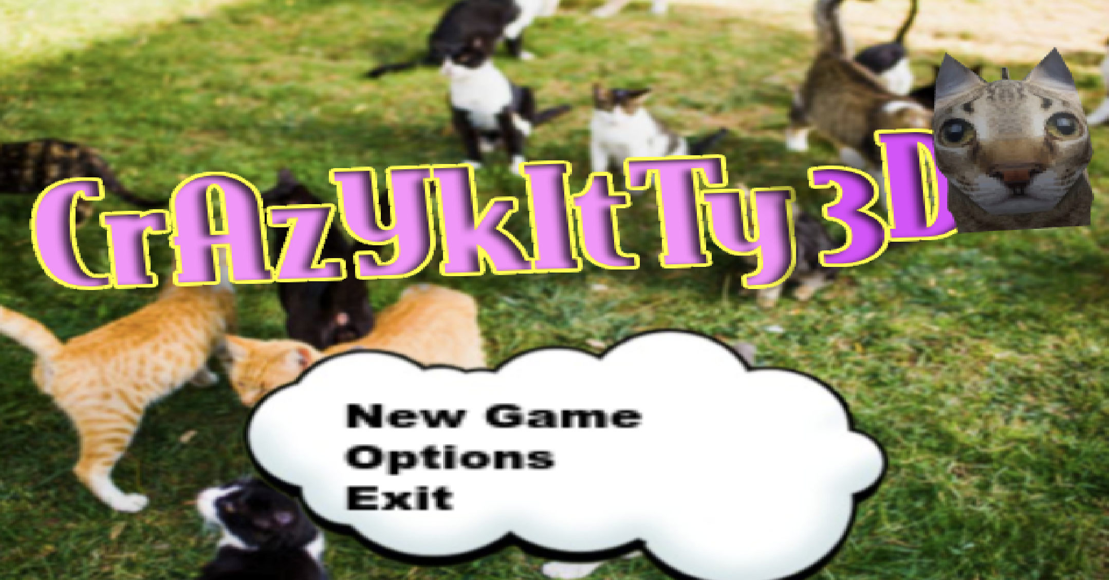 Crazy Kitty 3D