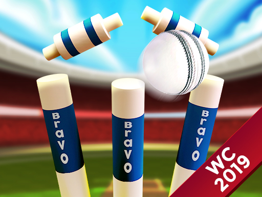 Cricket World Cup Game 2019 Mini Ground Cricket