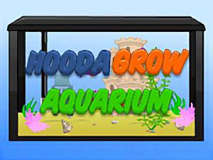 Guide de Hooda Grow Aquarium : Conseils et Stratégies