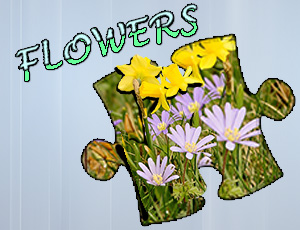 Jigsaw Puzzle3A Flowers - Free Online Game