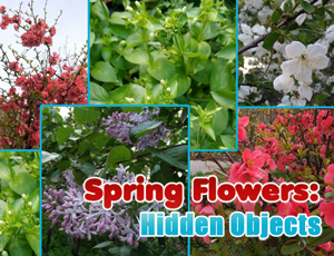 Spring Flowers 3A Hidden Objects - Free Online Game